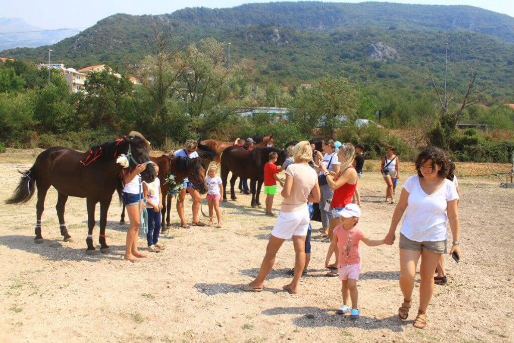 Что посмотреть в черногории с детьми