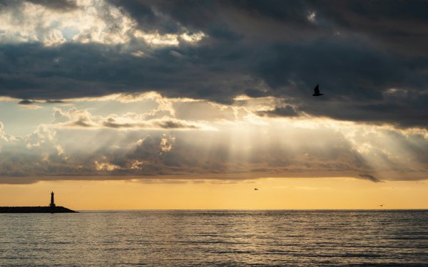 nadiia-ploshchenko-xflnkVBM0KM-unsplash